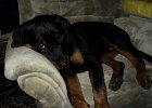 DSC01294